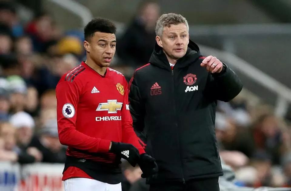 的整体表现 的整体表现